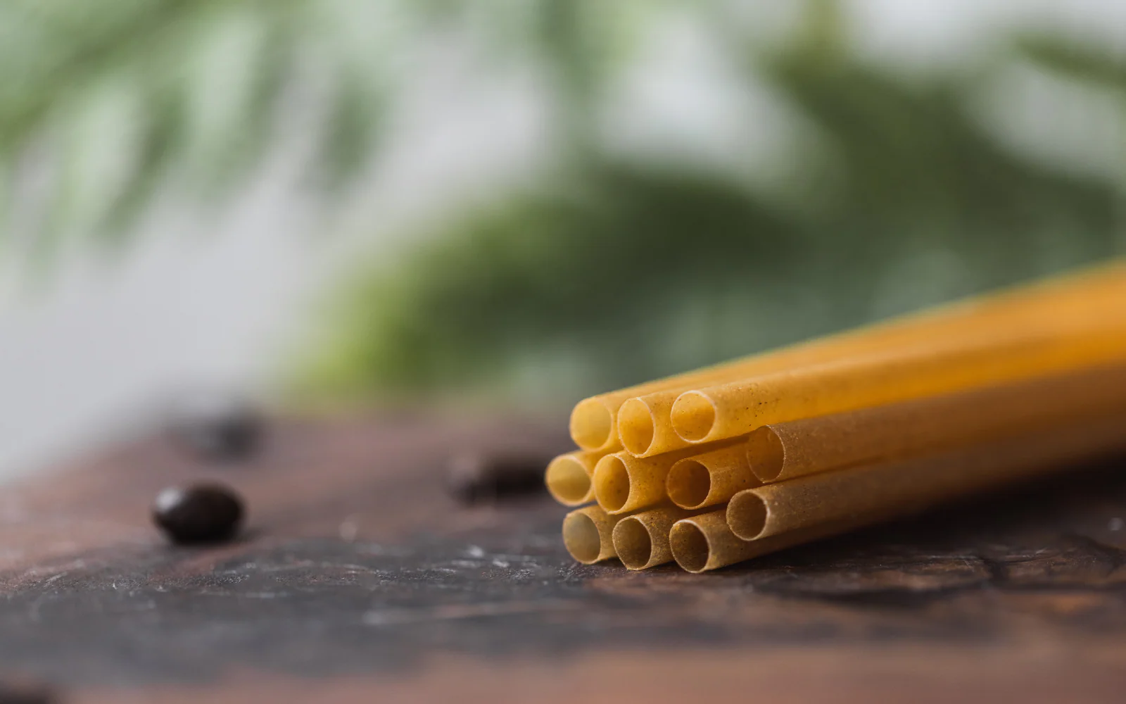 Canada’s Best Plant-Based Straws